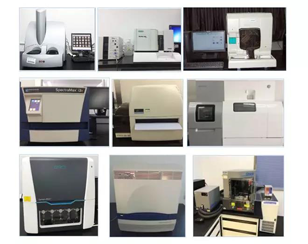 人生就是博生物技术药物分析部门拥有SpectraMaxM4/M5/i3x, MSD, Luminex, Biacore 8K, Envision, Gyrolab，ABI7500 qPCR等全方位多功能的技术平台，利用LIMS系统实施全面的实验室信息化管理，提供全面符合FDA/CFDA/OECD GLP规范要求的生物技术药物分析服务。