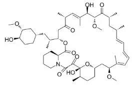 雷帕霉素新制剂用于罕见病，获4500万美元融资