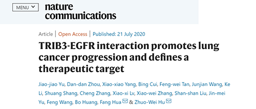 Nature|非小细胞肺癌治疗新方案：靶向降解EGFR