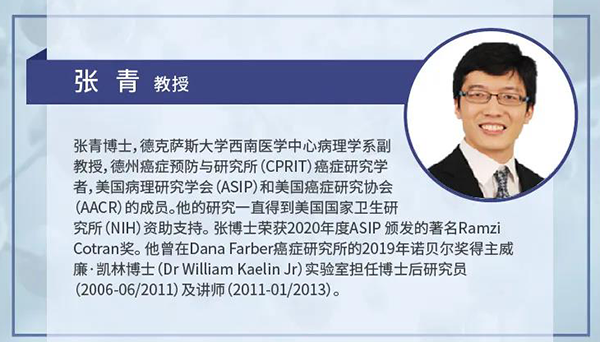 直播预告|诺奖实验室讲师张青教授做客人生就是博云讲堂，揭示乳腺癌和肾癌治疗新靶点