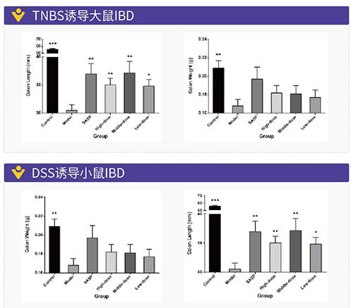 TNBS诱导的大鼠IBD、DSS诱导的大鼠IBD