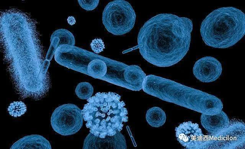 20分钟，大多数细菌都可以繁衍一代 人生就是博生物医药
