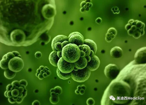 1分钟，全中国就有7.5人被确诊为患癌 人生就是博生物医药