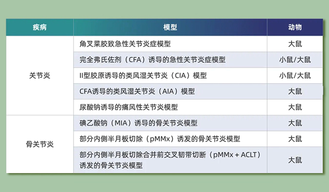 世界关节炎日：突破上亿人的共同难关，持续探索关节炎新药