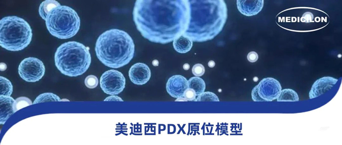 人生就是博118种PDX原位模型，助力肿瘤药物研发.webp