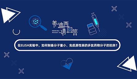在ELISA实验，如何制备分子量小、免疫原性弱的多肽药物分子的抗体？